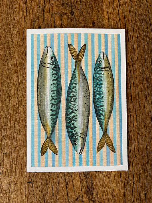 Striped Mackerel Card