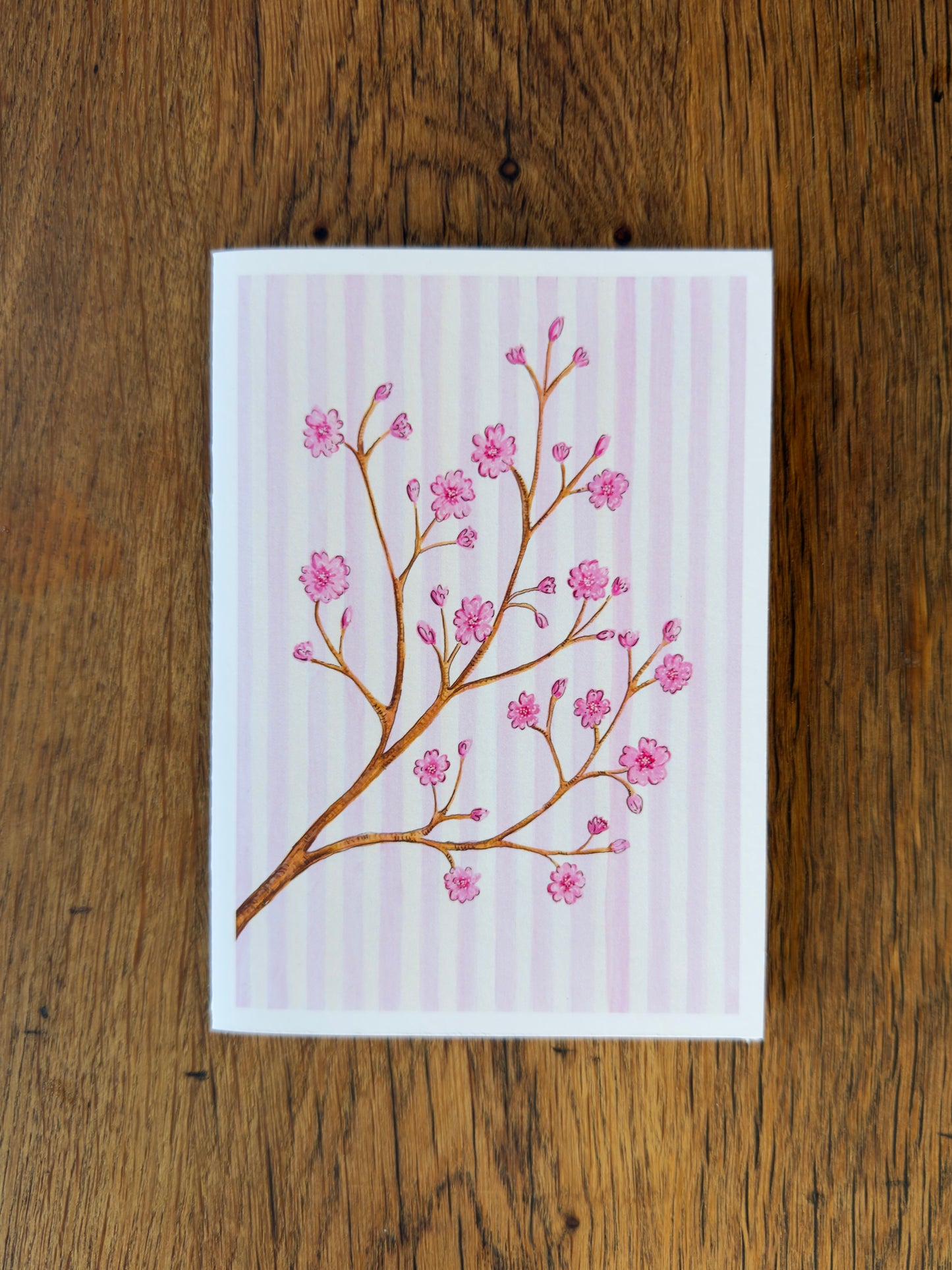 Cherry Blossom - Card