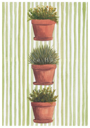 Trio of Plant Pots Print