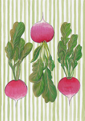 Radishes - Striped Print