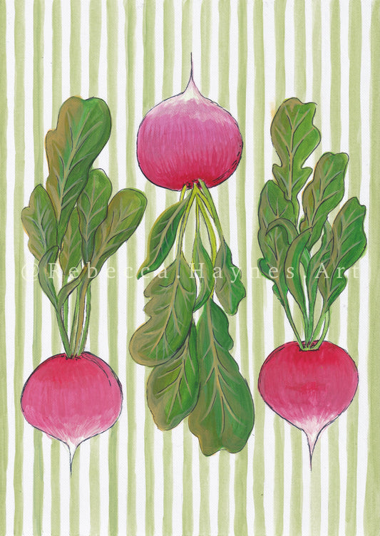 Radishes - Striped Print