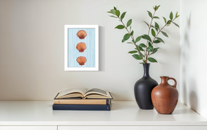 Scallops - Striped Print