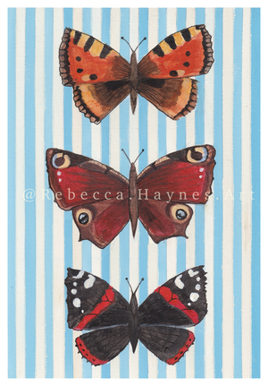 Striped British Butterflies Print