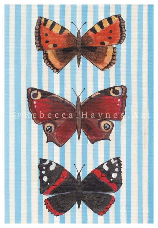 Striped British Butterflies Print