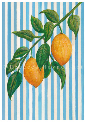 Striped Lemon Branch (PRINT)
