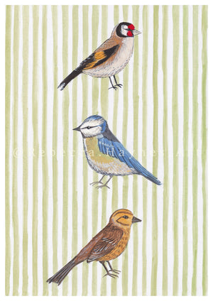 Song Birds - Green Stripe Background (Print)