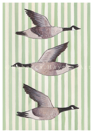 Striped Canada Geese Print