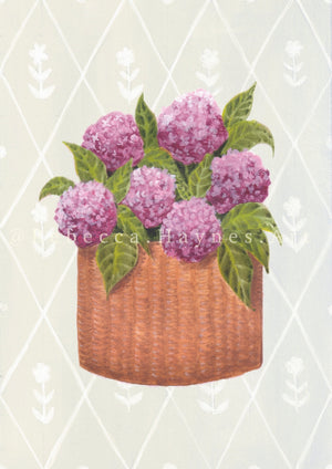 Pink Hydrangea - Diamond Background (Print)
