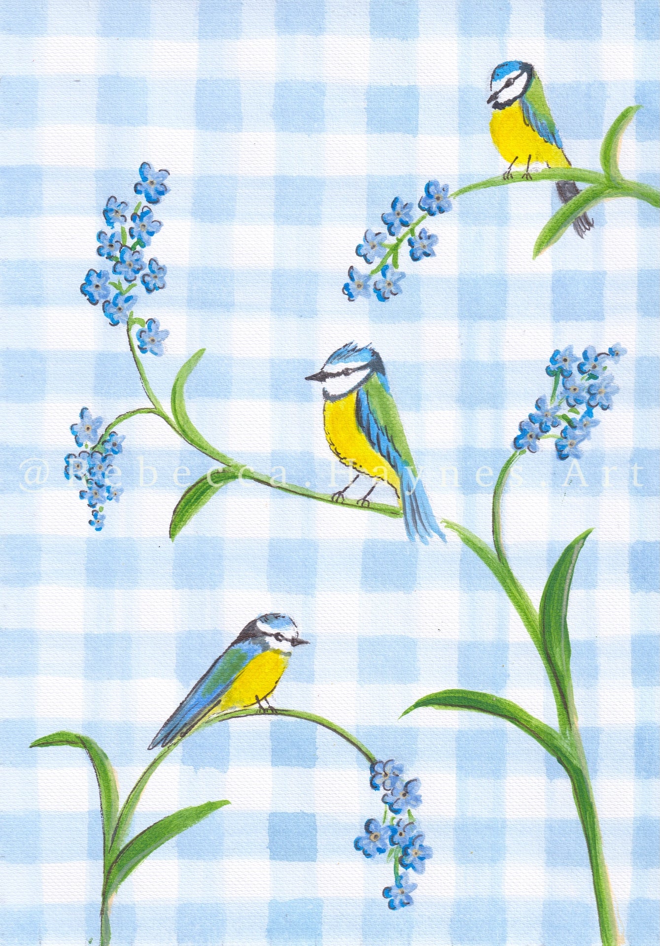 Blue Gingham Blue Tit - Print