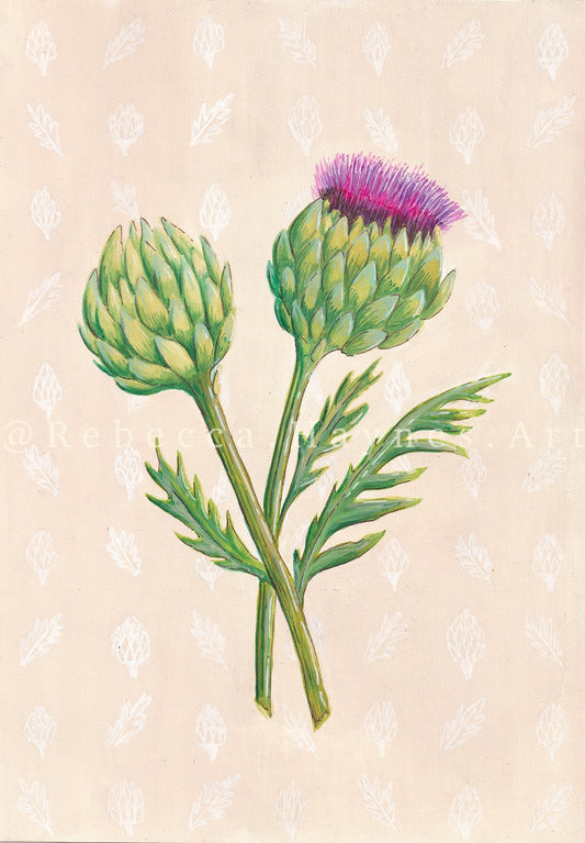 Globe Artichoke - Print