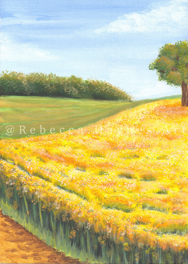 Oilseed Rape Fields - Print