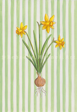 Daffodil - Striped Background  (Print)