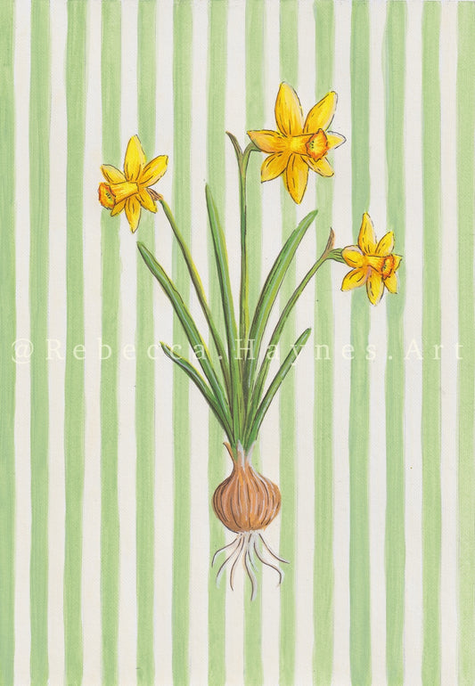 Daffodil - Striped Background  (Print)