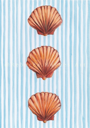 Scallops - Striped Print
