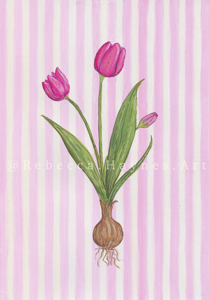 Tulip - Striped Background  (Print)