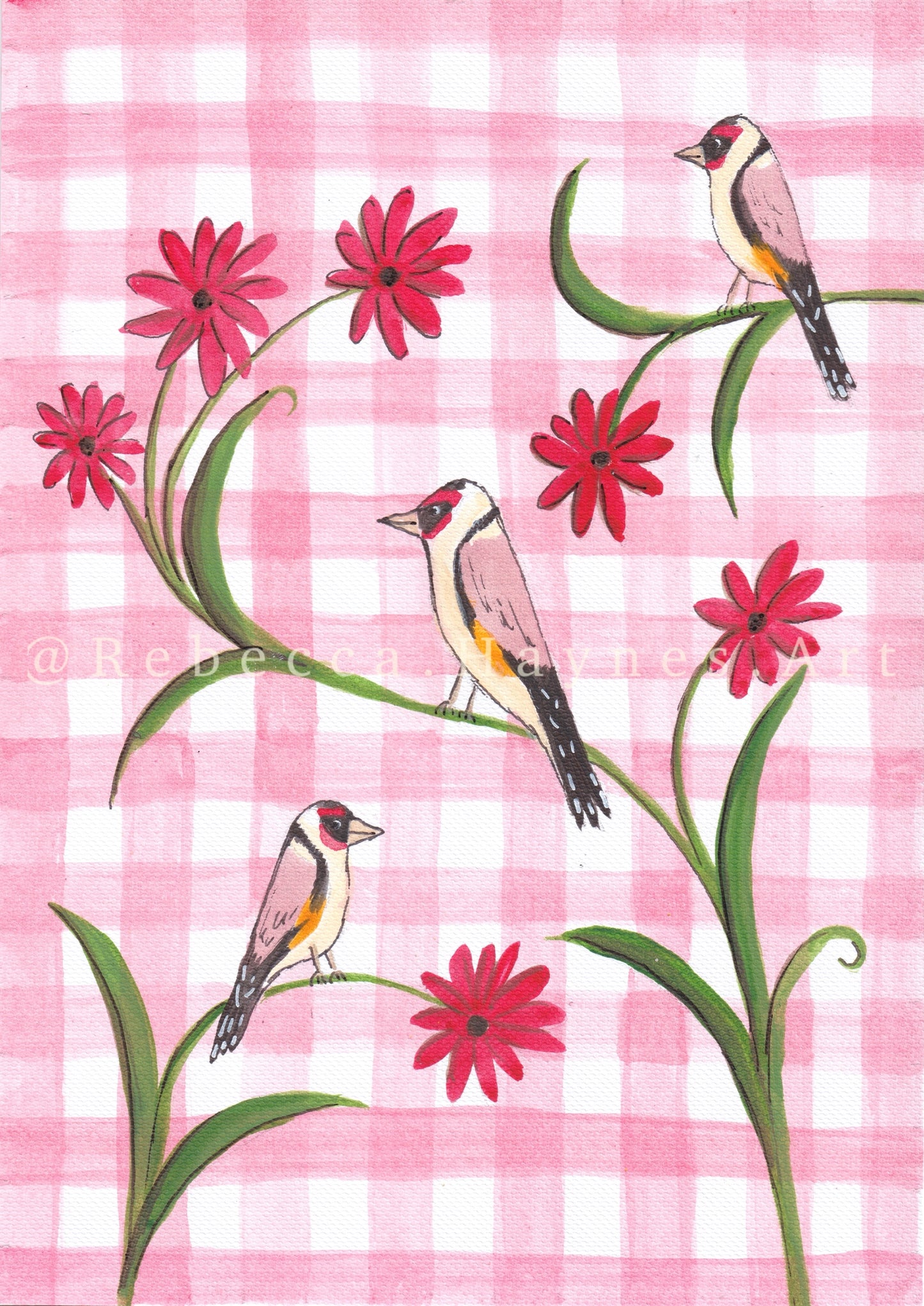 Red Gingham Goldfinch - Print