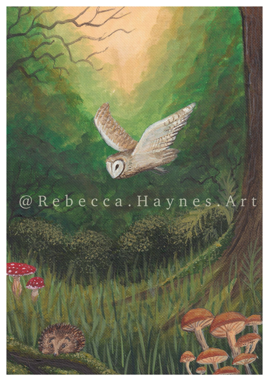 Woodland Barn Owl Print