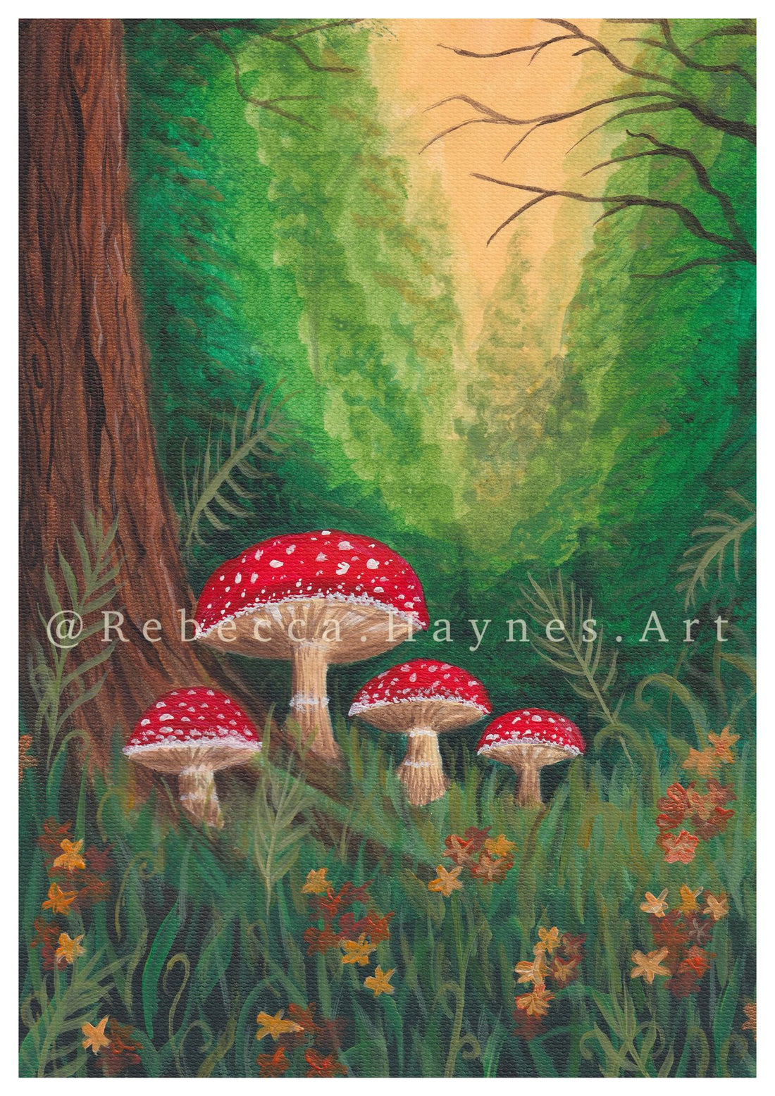 Woodland Mushrooms Print