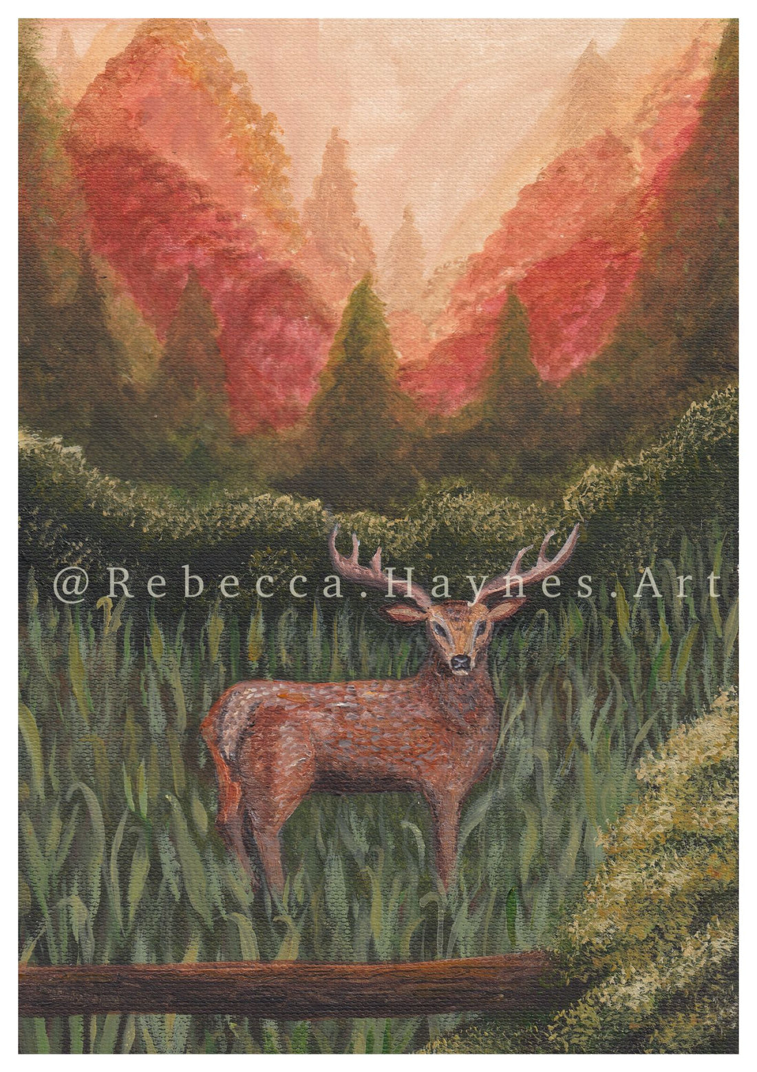 Woodland Stag Print