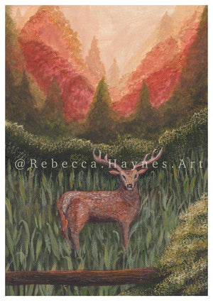 Woodland Stag Print