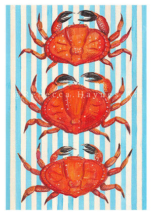Striped Crabs Print