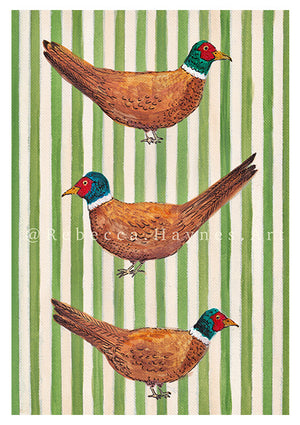 Striped Pheasant Print