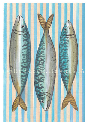 Striped Mackerel Print