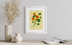 Nasturtium - Print