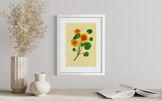 Nasturtium - Print