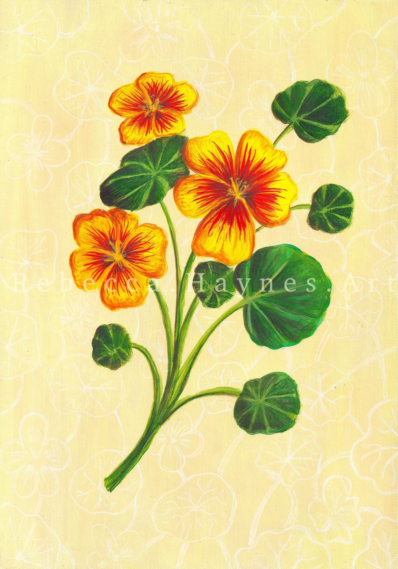 Nasturtium - Print